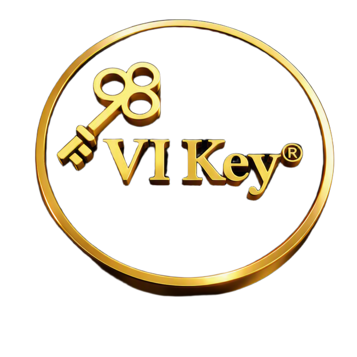 VI Key Logo